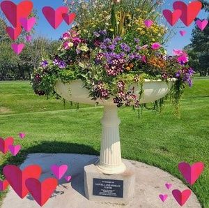 Meet your Posher, Vickie